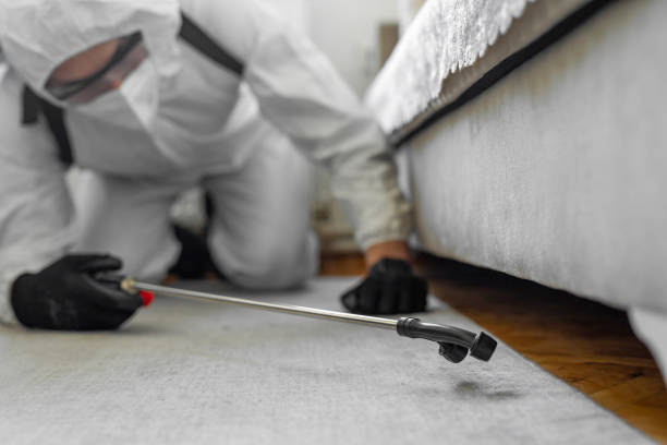 Professional Pest Control technician working in Burnet County County, TX